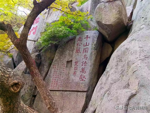 泰山石刻（摄影图片欣赏）