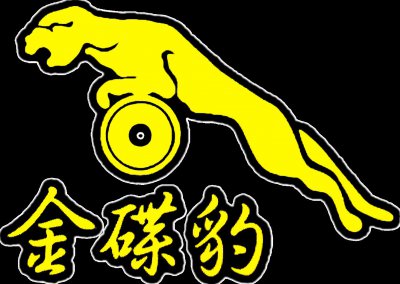 ​小时候听的卓依婷都已结婚，还有成为经典的金碟豹，你都还记得吗
