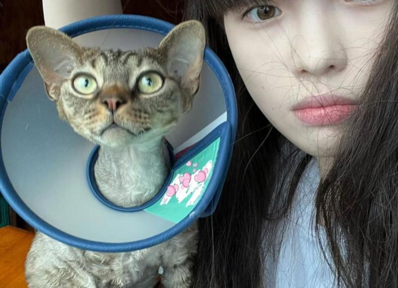 怎么说话能哄女孩开心，怎么说才能哄女孩子开心的话