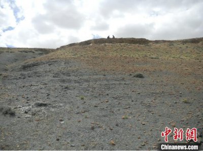 ​中外科研人员通过防晒霜2.52亿年前生物大灭绝