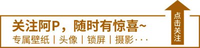 ​头像~306期丨萌系小方框人物情侣头像