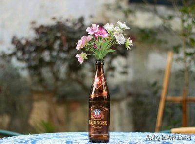 ​哪些花不可以用啤酒浇？千万要记住