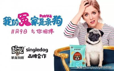 ​单身狗粮创始人吴俊：用美食传递快乐《我的冤家是条狗》
