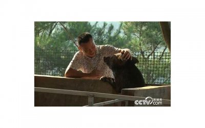​男友一会说分手一会又和好，为什么有的人提了分手