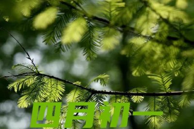 ​农历四月初一，谚语“四月怕初一”啥意思？怕些什么，有何预兆