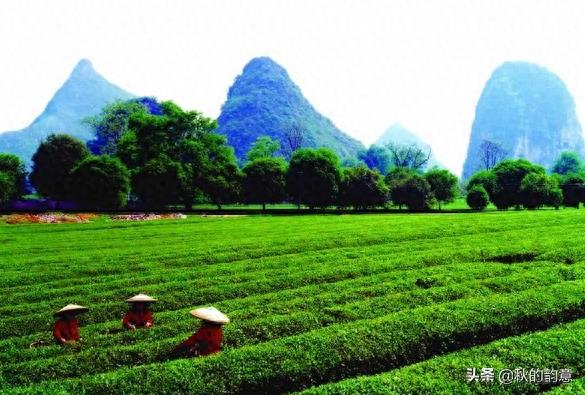 广西桂林尧山是桂林市最高山峰，国家4A级景区，主峰海拔909.3米