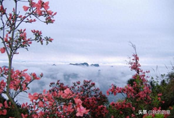 广西桂林尧山是桂林市最高山峰，国家4A级景区，主峰海拔909.3米