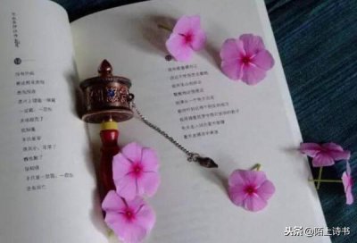​《见与不见》的作者到底是谁？很多年来一直被人们误解......