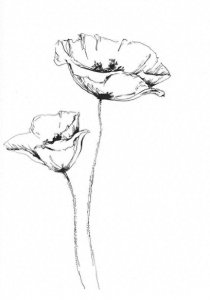​手绘 花 图片 铅笔画 简单 素描 简笔画