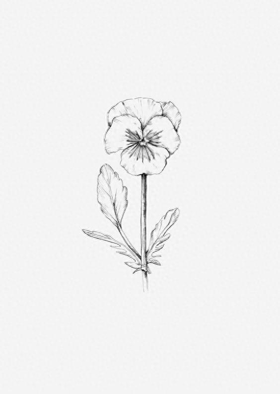 手绘 花 图片 铅笔画 简单 素描 简笔画