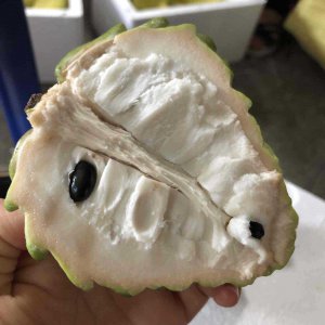 ​释迦果怎么吃？
