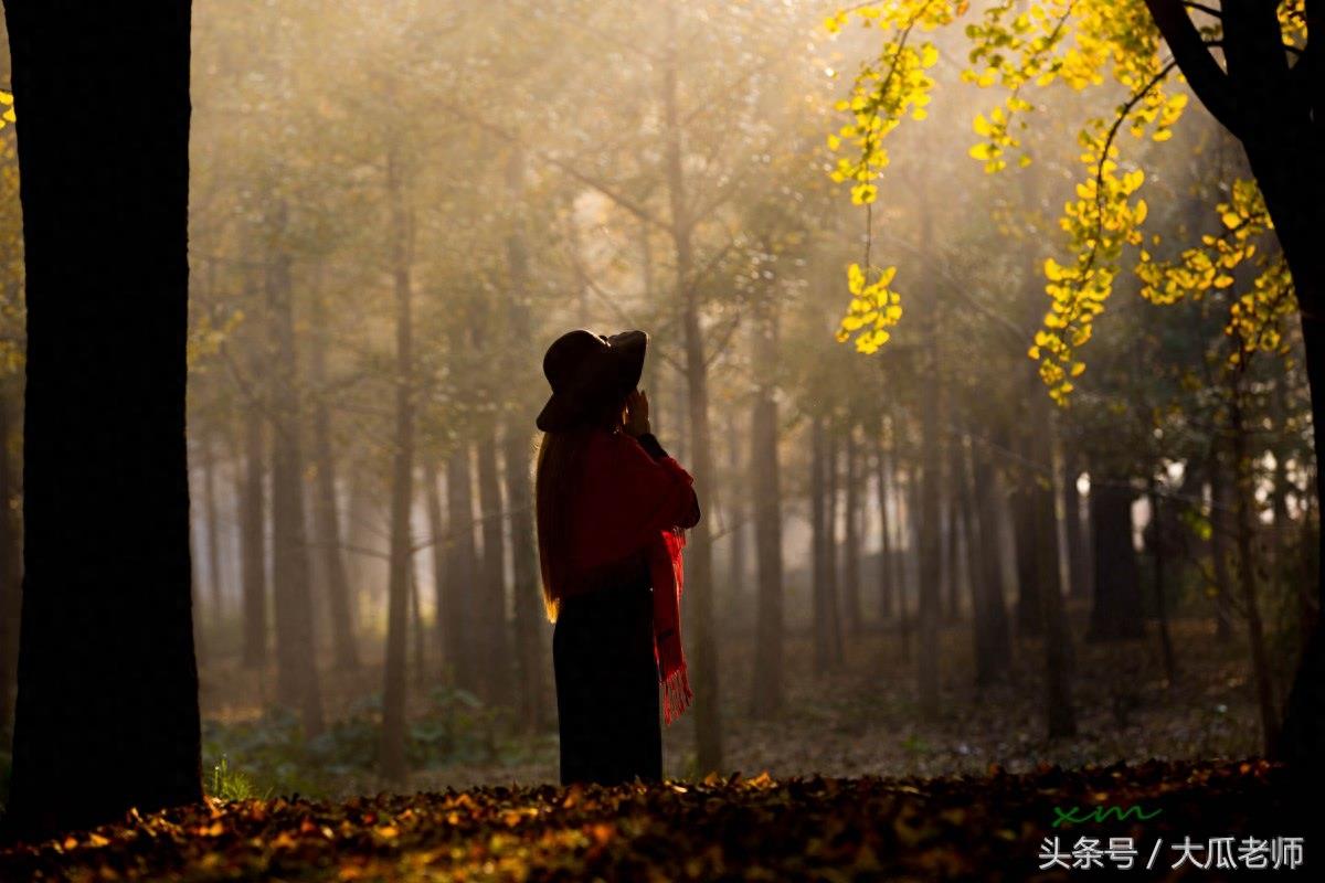 邳州的银杏时光隧道，全长3000多米，宛如黄金一片很是漂亮