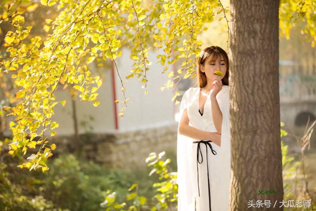邳州的银杏时光隧道，全长3000多米，宛如黄金一片很是漂亮
