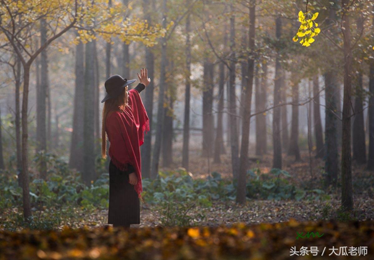 邳州的银杏时光隧道，全长3000多米，宛如黄金一片很是漂亮