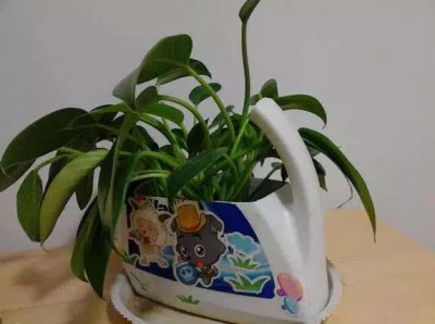 ​洗衣液用完瓶子先别扔！学我家这么一改能派上大用处！