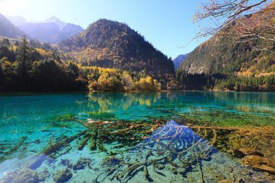​成都飞九寨沟复航299起，1h即可到达，去九寨沟需要注意以下几点