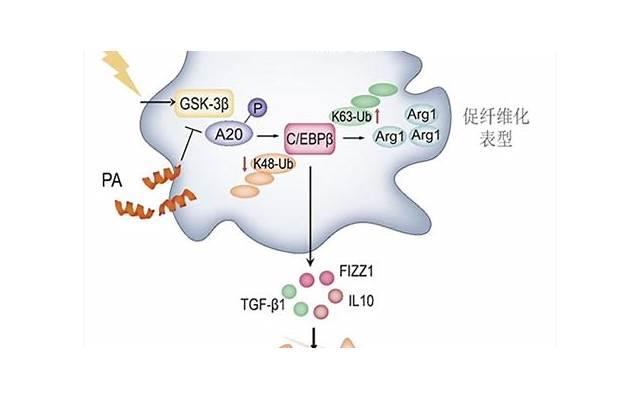 分手后想复合该怎么说？5个必备方法让你成功挽回TA