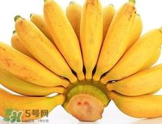 皇帝蕉是芭蕉吗？皇帝蕉和芭蕉的区别