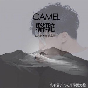 ​薛之谦《骆驼》：人生如荒漠，也要像骆驼一步一步跋涉到绿洲