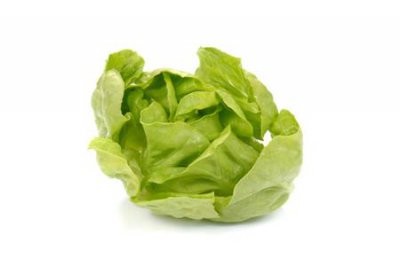 ​球生菜和普通生菜区别