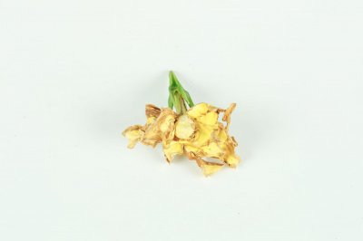 ​栀子花能泡水喝吗，泡水喝有什么作用