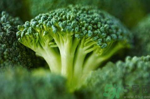三文鱼可以和西兰花一起吃吗?三文鱼能和西兰花同吃吗?
