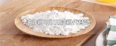 ​油炸粉可以用淀粉代替吗 油炸粉可以用淀粉代替吗为什么