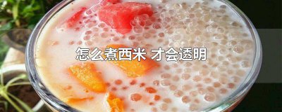 ​西米怎么煮成透明的 西米煮熟后是透明的吗