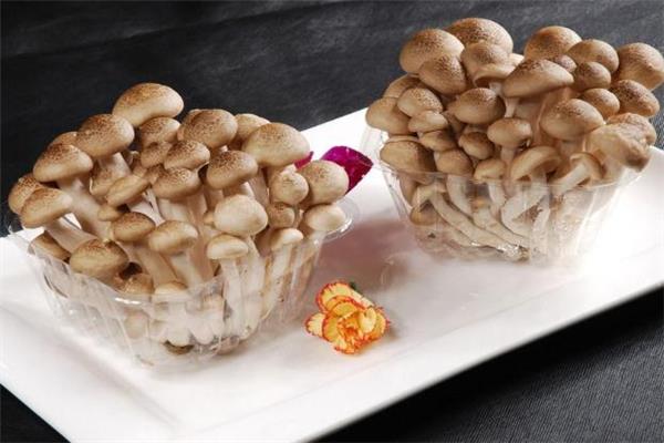 蟹味菇长白毛可以吃吗 蟹味菇发霉还能吃吗