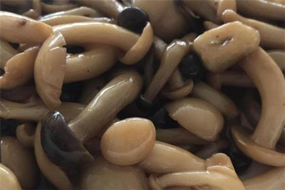 ​蟹味菇长白毛可以吃吗 蟹味菇发霉还能吃吗