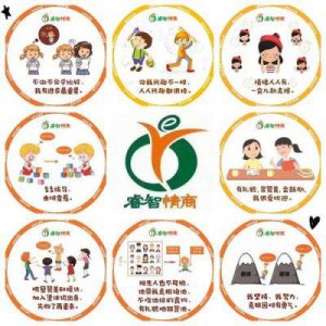 ​睿智：现实与网络用语的反差解析