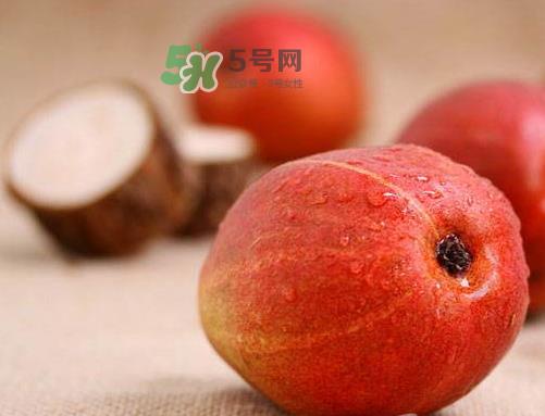 红啤梨怎么放软_红啤梨怎么催熟_红啤梨怎么才算软熟了