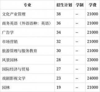 ​2023年中国艺术类高校学费详解：从昂贵到实惠的全景分析