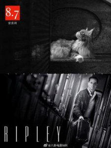 ​Netflix近年口碑炸裂的十大剧集佳作