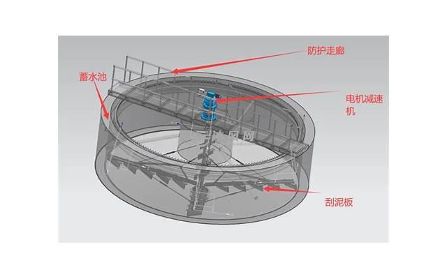 大熊猫走路为什么内八字？介绍背后的奇妙原因