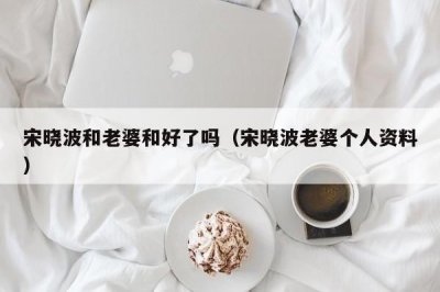 ​宋晓波和老婆和好了吗（宋晓波老婆个人资料）