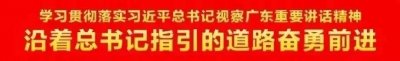 ​爽！佛山周边这些网红海滩，夏日必打卡！