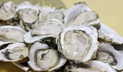 ​经常吃生蚝有什么好处和坏处(痛风 肉类)
