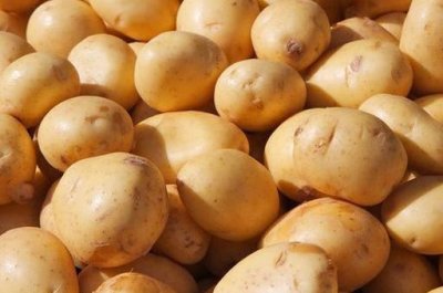 ​土豆种植时间以及种植方法