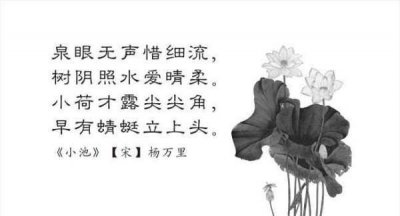 ​晴柔名字的寓意,小池这首诗中的晴柔是什么意思