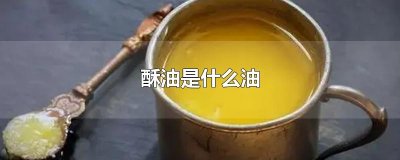 ​酥油是什么油