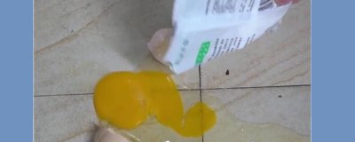 ​破碎的鸡蛋如何处理 鸡蛋全打碎了如何处理