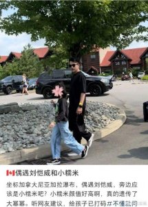 ​网友加拿大偶遇刘恺威和小糯米 夸小糯米颜值高