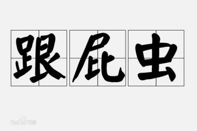​每日一词|跟屁虫