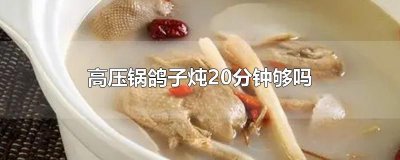 ​高压锅鸽子炖20分钟够吗