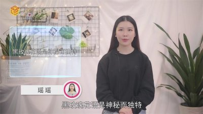 ​黑玫瑰花语及代表意义