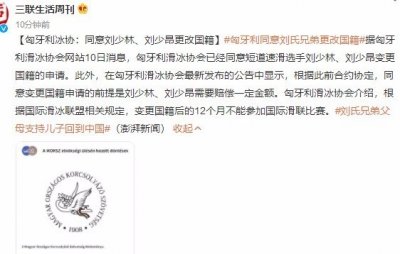 ​刘氏兄弟父母支持儿子回到中国 兄弟二人面临赔偿