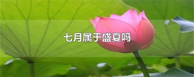 ​七月属于盛夏吗