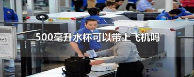 ​500毫升水杯可以带上飞机吗