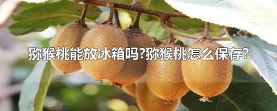 ​猕猴桃能放冰箱吗?猕猴桃怎么保存?